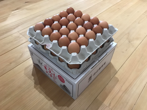 oshino egg 50